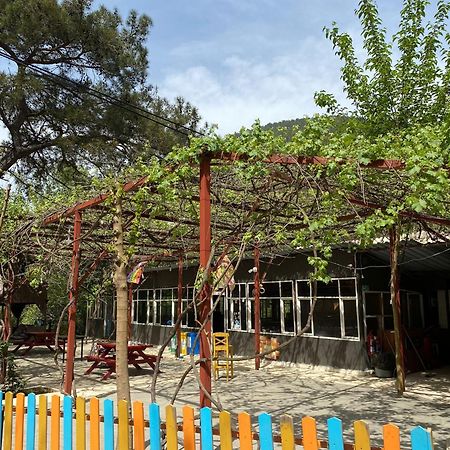 Olympos Camlik Pension Extérieur photo