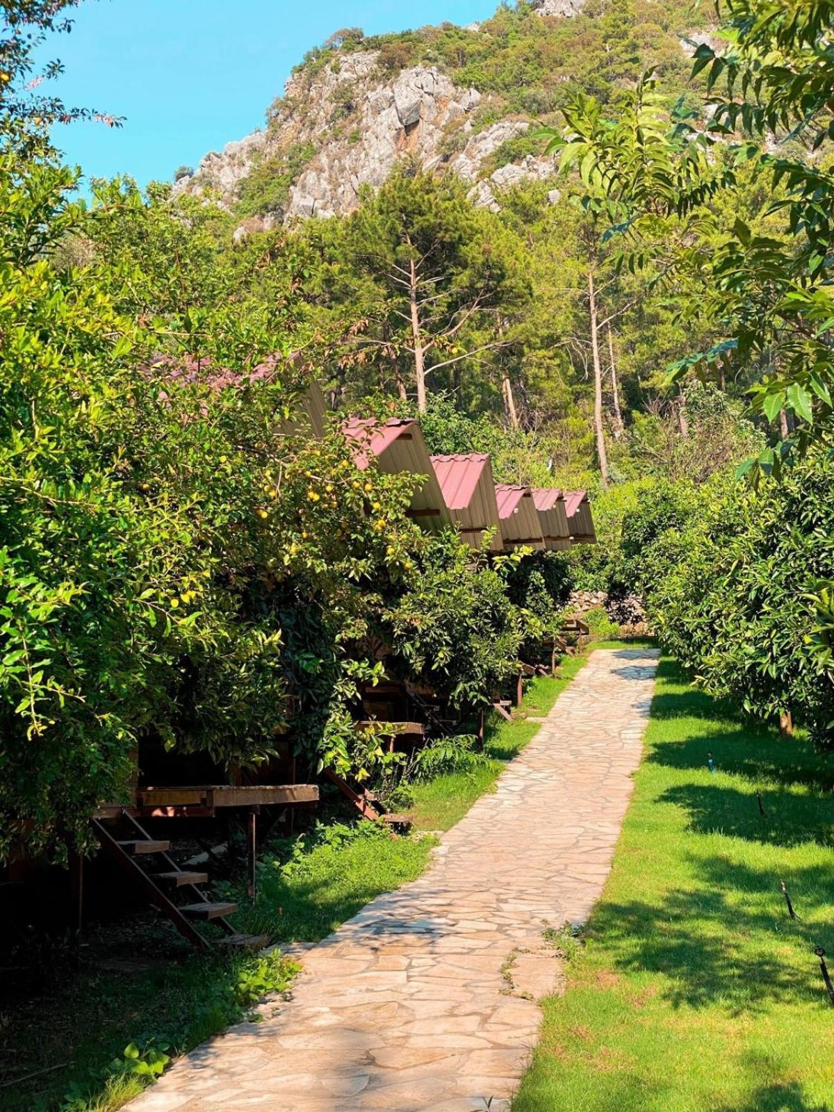 Olympos Camlik Pension Extérieur photo