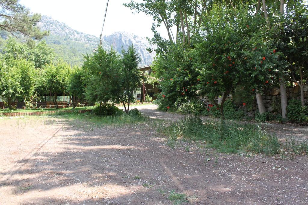 Olympos Camlik Pension Extérieur photo