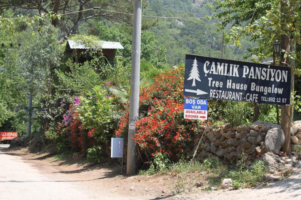 Olympos Camlik Pension Extérieur photo