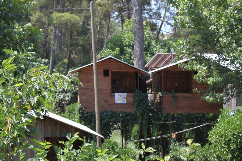 Olympos Camlik Pension Extérieur photo