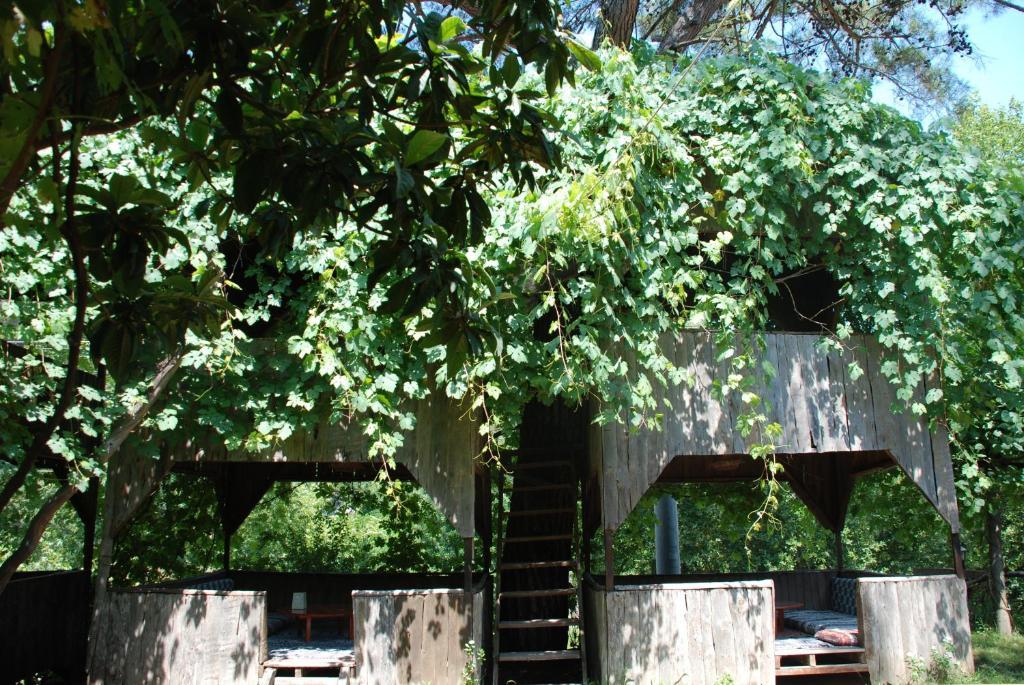 Olympos Camlik Pension Extérieur photo