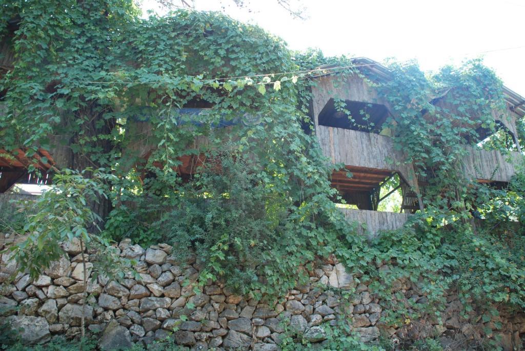 Olympos Camlik Pension Extérieur photo